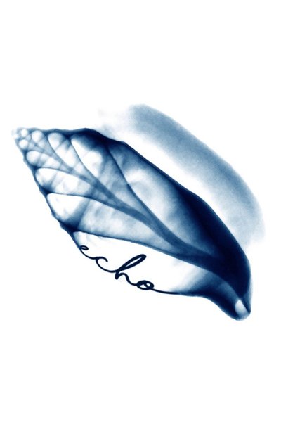 Echo